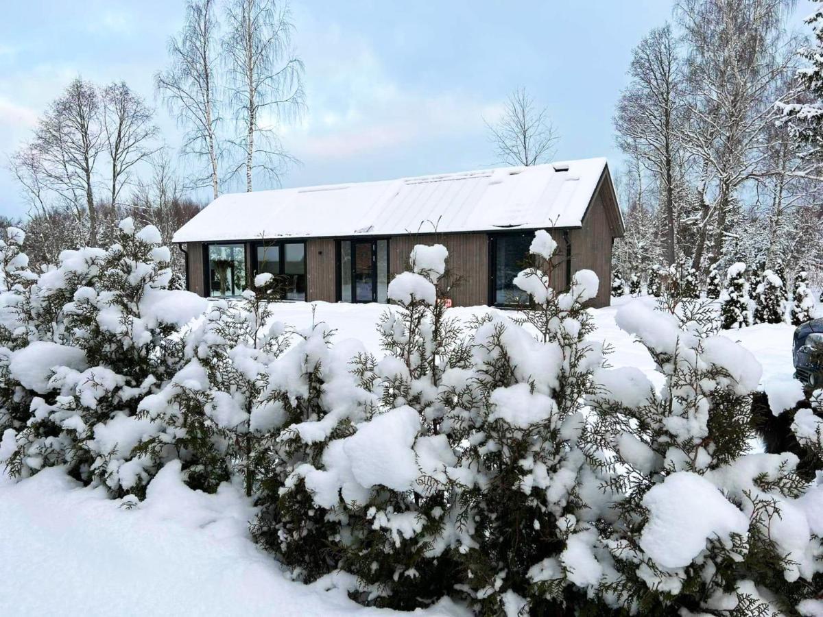 Paerli Puhkemaja / Pearl Riverside House Pudisoo Экстерьер фото
