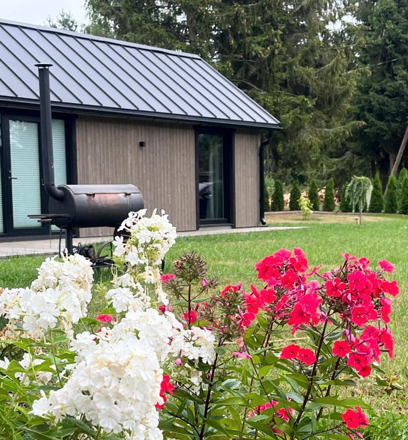 Paerli Puhkemaja / Pearl Riverside House Pudisoo Экстерьер фото